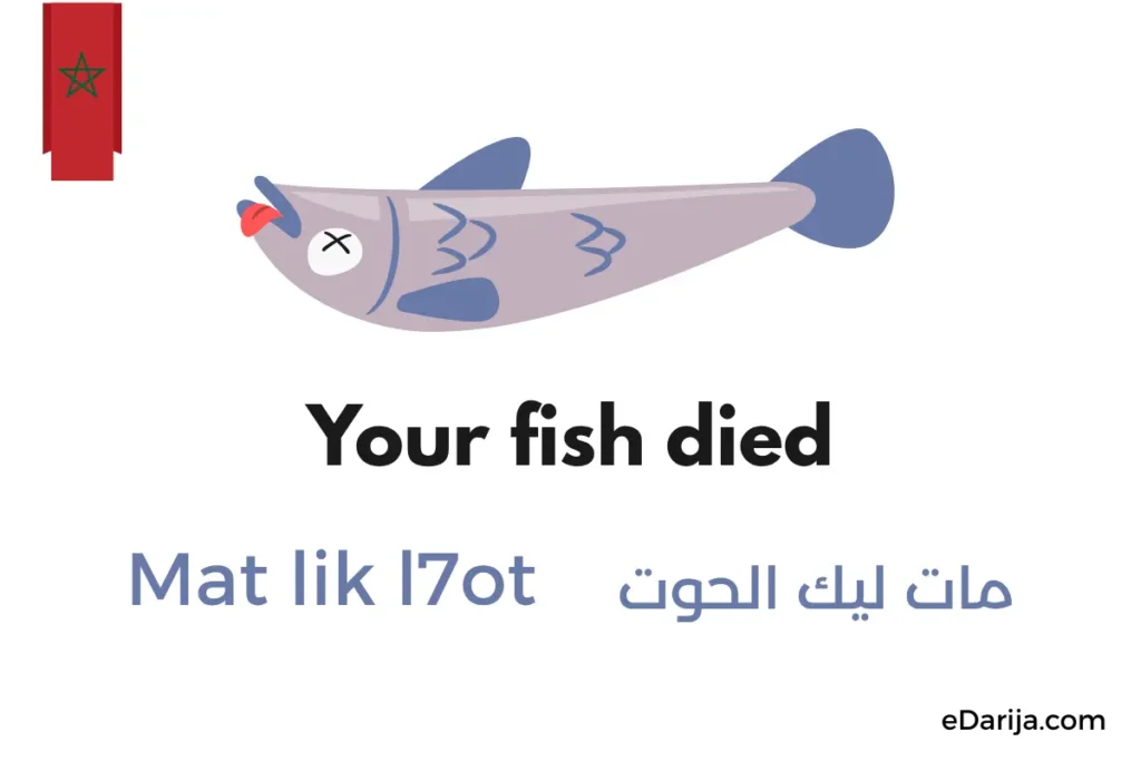 Popular Moroccan Slang Words