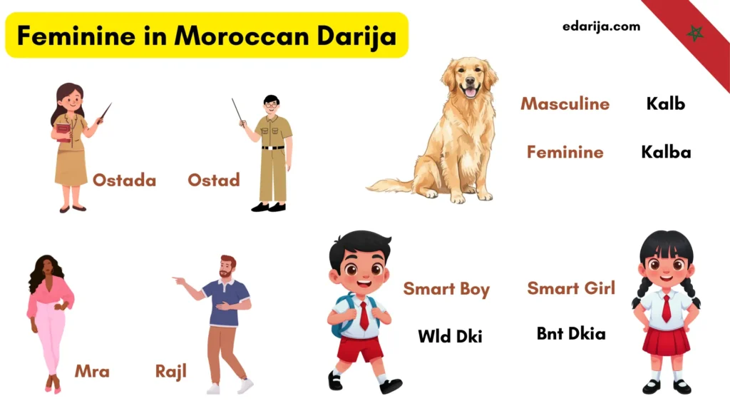 Express Feminine Form in Moroccan Darija 